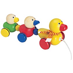 Duck Family