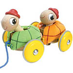 Pull Along Tortoise