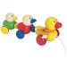 duck family